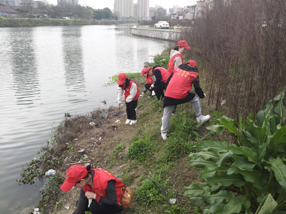 志愿者在穿紫河清理垃圾